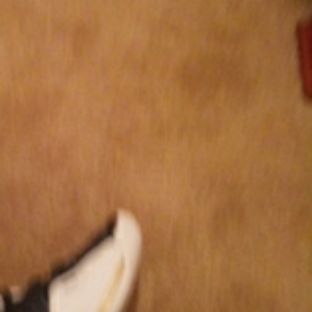 Jordan - Picture 5 of 6